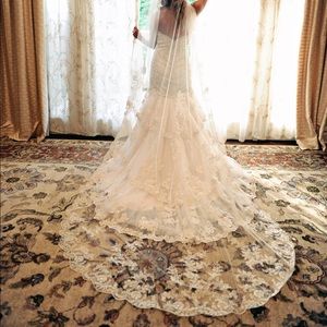 Cathedral length veil